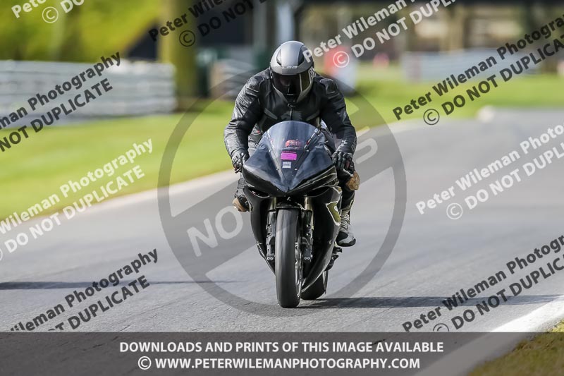 Oulton Park 21st March 2020;PJ Motorsport Photography 2020;anglesey;brands hatch;cadwell park;croft;donington park;enduro digital images;event digital images;eventdigitalimages;mallory;no limits;oulton park;peter wileman photography;racing digital images;silverstone;snetterton;trackday digital images;trackday photos;vmcc banbury run;welsh 2 day enduro